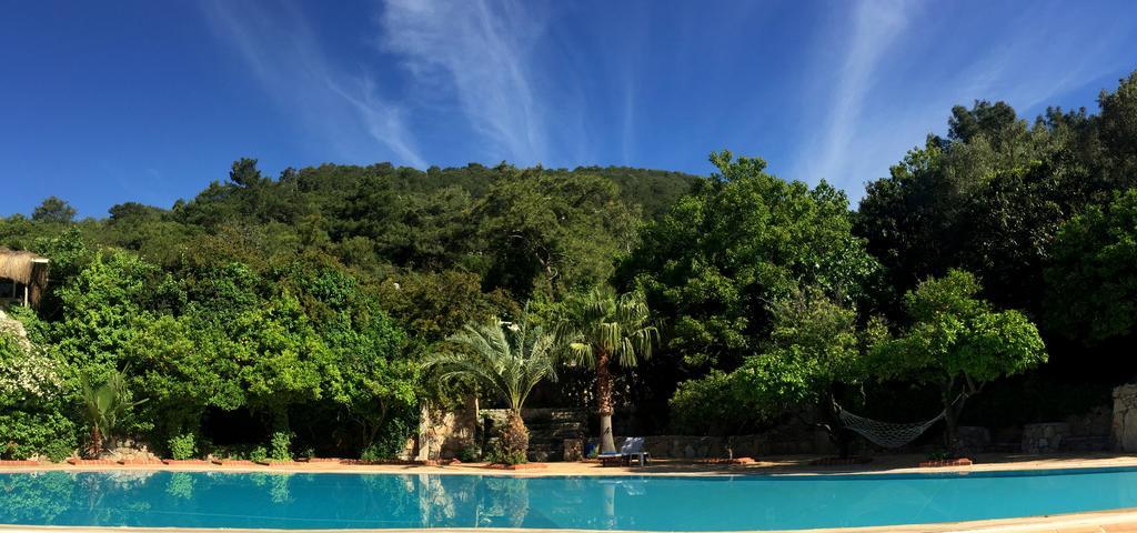 Paradise Garden Hotel Oludeniz Exterior photo